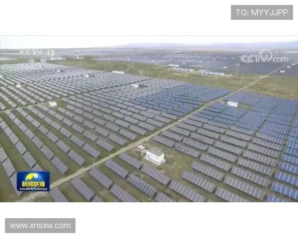 青海企业家奋进新时代助力高原经济高质量发展新篇章